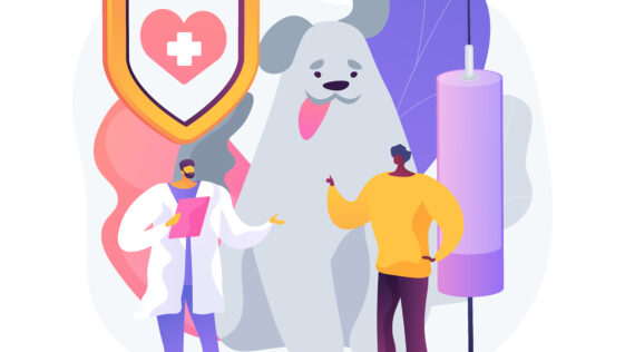 Pet Insurance