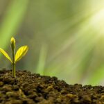 Business growth
