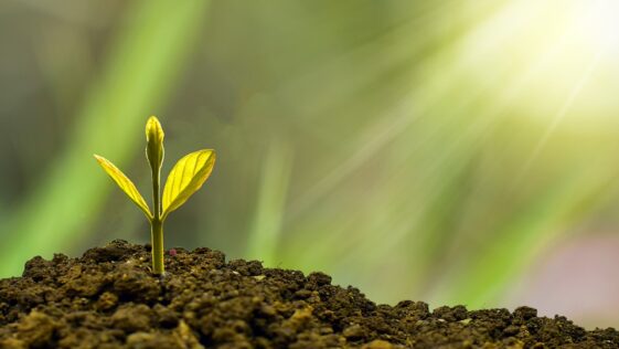 Business growth