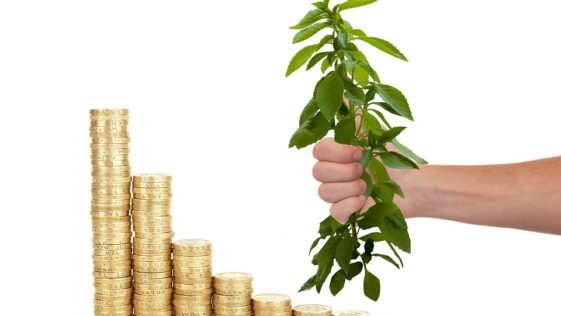 Value investing