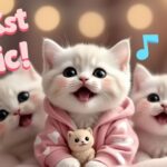 🐾 Adorable Kitten Serenades with "Apt Apt" – A Must-Watch! 25 Meow Melody e1746444498297
