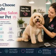 How to Choose the Right Grooming Salon for Your Pet