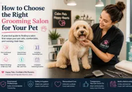 How to Choose the Right Grooming Salon for Your Pet