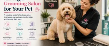 How to Choose the Right Grooming Salon for Your Pet