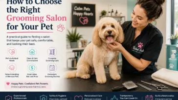 How to Choose the Right Grooming Salon for Your Pet